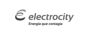 Electrocity