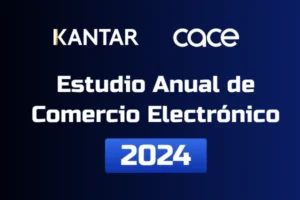 informe anual de comercio electrónico